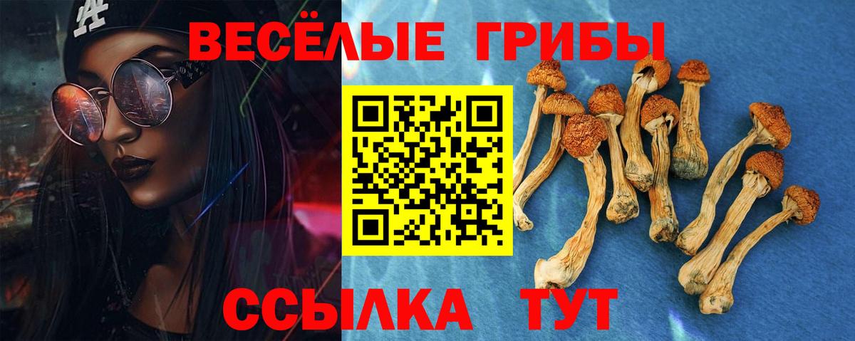 Галлюциногенные грибы GOLDEN TEACHER  Галлюциногенные грибы ЛСД  Юрга  Вход с VPN 